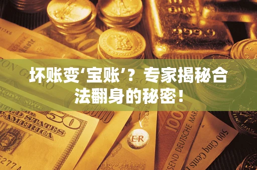 北京坏账变‘宝账’？专家揭秘合法翻身的秘密！