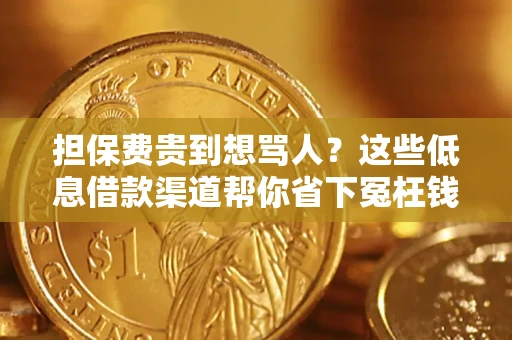 北京担保费贵到想骂人？这些低息借款渠道帮你省下冤枉钱
