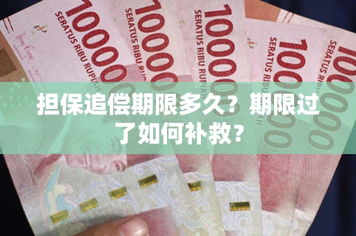 北京担保追偿期限多久？期限过了如何补救？